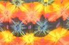 swimsuit-accessory8519h72full